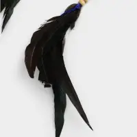 Ловец снов "Шаманский" 15х2х55 см