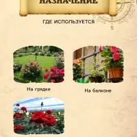 Грунт для Роз PETER PEAT, линия &laquo;Хобби&raquo;, 10 л