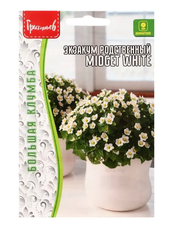 Семена Экзакум Midget White родственный 10 шт. 12.29 г.