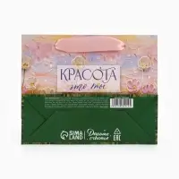 Пакет подарочный &laquo;Красота &mdash; это ты&raquo;, 15&times;12&times;5.5 см