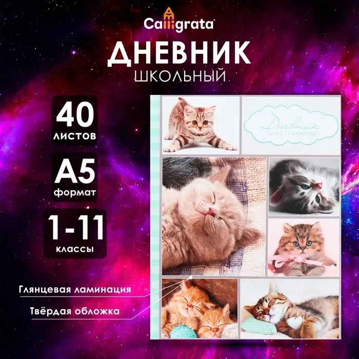 Дневник универсальный для 1-11 классов, "Котята", твердая обложка 7БЦ, глянцевая ламинация, 40 листов