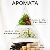 Диффузор ароматический с палочками Holi Pleasure, 50 мл