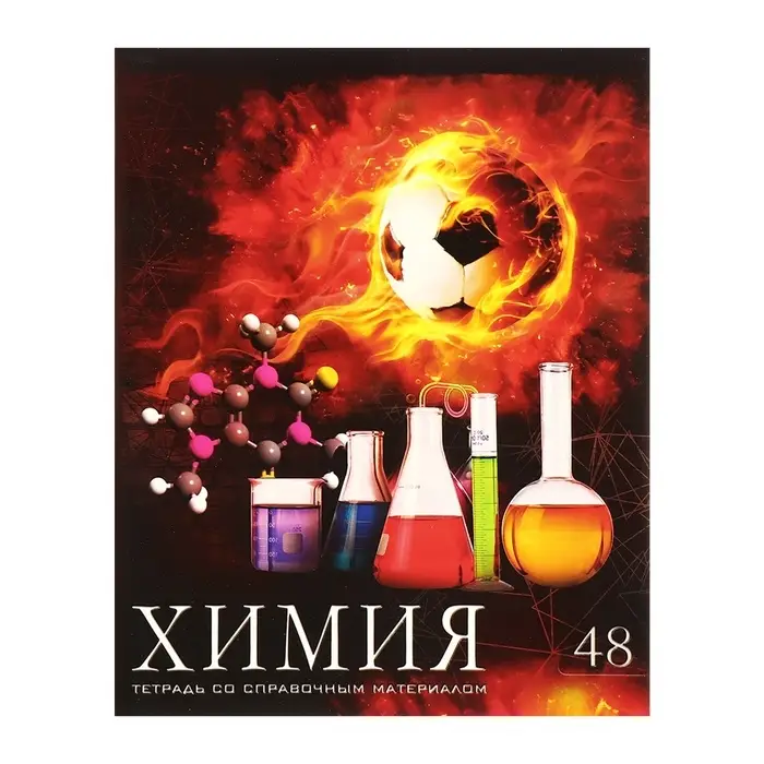 Набор предметных тетрадей Calligrata &laquo;Футбол&raquo;, 10 предметов, 48 листов, со справочным материалом, обложка из мелованного картона, блок офсет