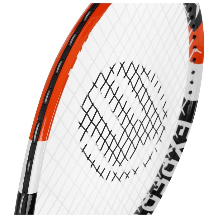 Ракетка для большого тенниса детская BOSHIKA EXPERT KIDS, алюминий, графит, 26'' Ракетка для большого тенниса детская BOSHIKA EXPERT KIDS, алюминий, графит, 26''