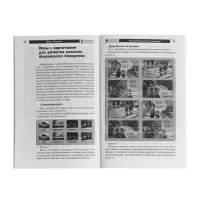 Дидактическое пособие &laquo;Парочки&raquo; 4-7 лет, Сомко Л.А.