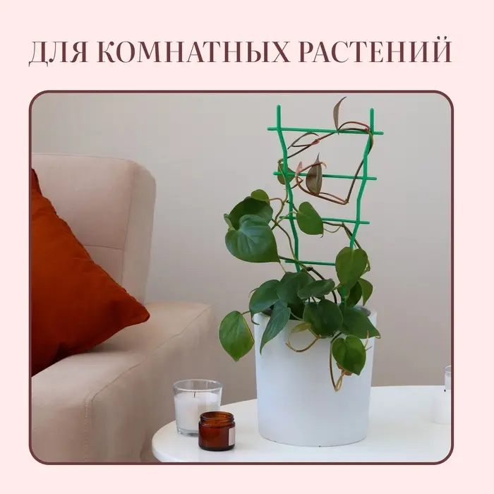 Шпалера, 37×19×0.5 см, пластик, зелёная Шпалера, 37×19×0.5 см, пластик, зелёная