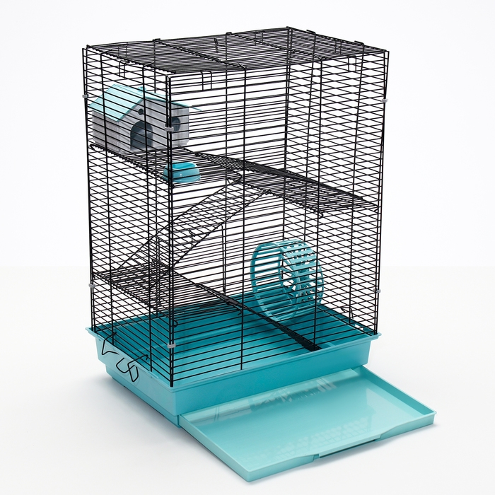 Клетка для грызунов Клетка для грызунов "Пижон" №5, с 3 этажами, укомплектованная, 41 х 30 х 58 см, бирюзовая