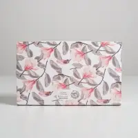 Коробка для эклеров, кондитерская упаковка, 5 вкладышей, Present, 25.2&times;15&times;7 см