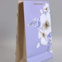 Пакет подарочный "Счастье", ламинированный, 33 х 42,5 х 10 см