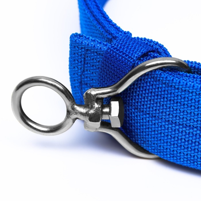 Ошейник четырехслойный с вертлюгом, 80 х 4,9 см, ОШ 64-74 см, полиэстер, синий Ошейник четырехслойный с вертлюгом, 80 х 4,9 см, ОШ 64-74 см, полиэстер, синий