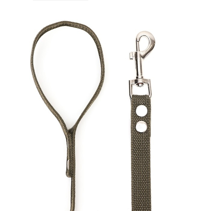 Поводок брезентовый 5 м х 2 см, тёмно-зелёный Поводок брезентовый 5 м х 2 см, тёмно-зелёный