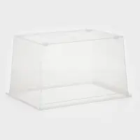 Ящик для хранения, 50 л, 53&times;38&times;30 см, с крышкой, прозрачный