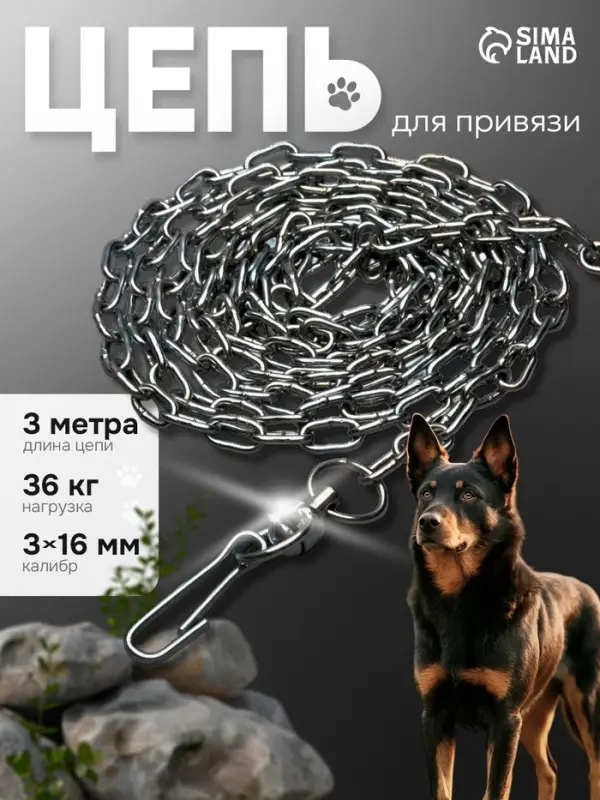 Цепь для привязи собак, 3 м, калибр 3&times;16 мм, черная