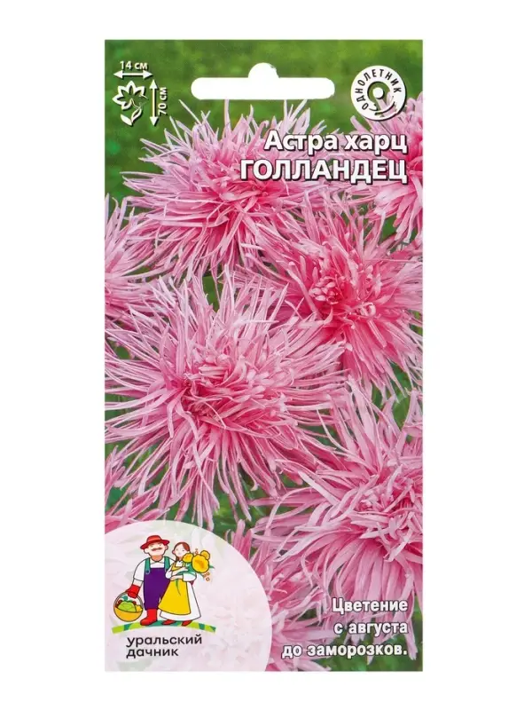 Семена Цветы Астра харц Голландец (УД) Е/П , Е/П,  0,2 г.