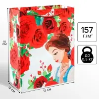 Пакет подарочный &laquo;Подарок для тебя&raquo;,12х15х5.5 см, упаковка, Принцессы