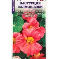 Семена Настурция Салмон беби /Сотка/ 0,5 г/ полумах. h-40cм, d-6см/*500 Семена Настурция Салмон беби /Сотка/ 0,5 г/ полумах. h-40cм, d-6см/*500