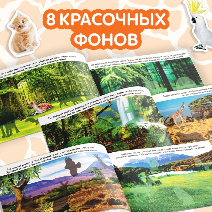 100 наклеек «Животные со всего света», 12 стр. 100 наклеек «Животные со всего света», 12 стр.