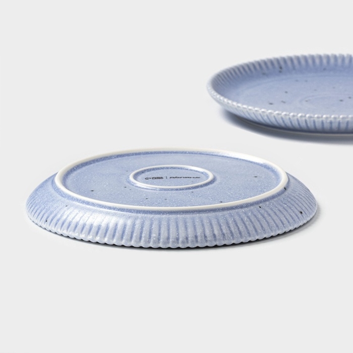 Тарелки Доляна «Коралл», d=20,8 см, набор 2 шт, фарфор, голубые Тарелки Доляна «Коралл», d=20,8 см, набор 2 шт, фарфор, голубые