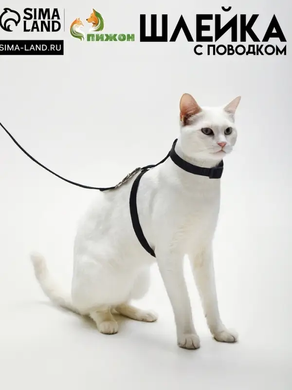 Комплект для кошек, ширина 1 см, ОШ 16.5-27 см, ОГ 21-35 см, поводок 120 см, чёрный