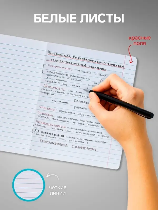 Комплект тетрадей из 10 штук, 12 листов в линию Calligrata &laquo;Котята&raquo;, обложка мелованный картон, ВД-лак, блок офсет, белизна 95%, 5 видов по 2 штуки