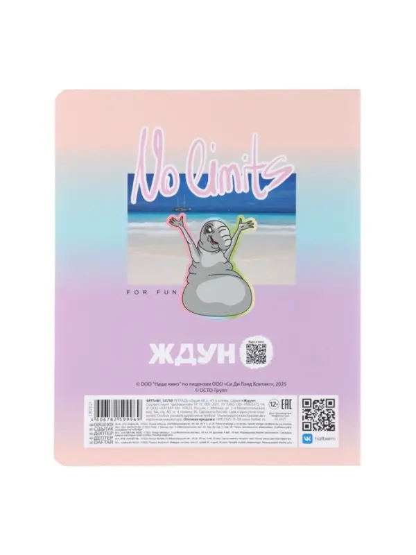 Тетрадь 48л кл Hatber Тетрадь 48л кл Hatber "ЖДУН", на скобе, скругл углы, мат лам, 60-65г/м² 5В МИКС