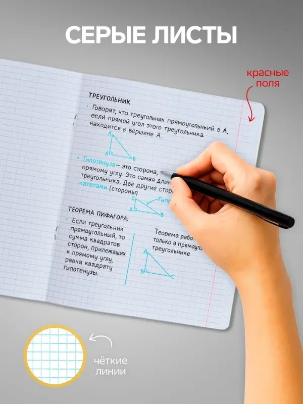 Тетради 18 листов в клетку Calligrata &laquo;Однотонная Классика&raquo;, обложка мелованный картон, серые листы, 10 шт.