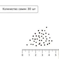 Семена Капуста пекинская &laquo;Ча-ча&raquo;, F1, 30 шт., &laquo;Русский огород&raquo;