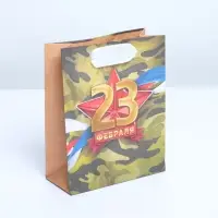 Пакет подарочный крафтовый, упаковка, «Красная звезда», 12 х 15 х 5.5 см