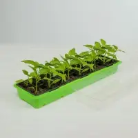 Мини - парник для рассады, 57&times;18&times;12 см, 3 вставки, 18 ячеек по 125 мл, пластик, Greengo