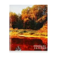 Тетрадь 48 листов в клетку, Calligrata «Времена года», обложка мелованная бумага, серые листы, МИКС