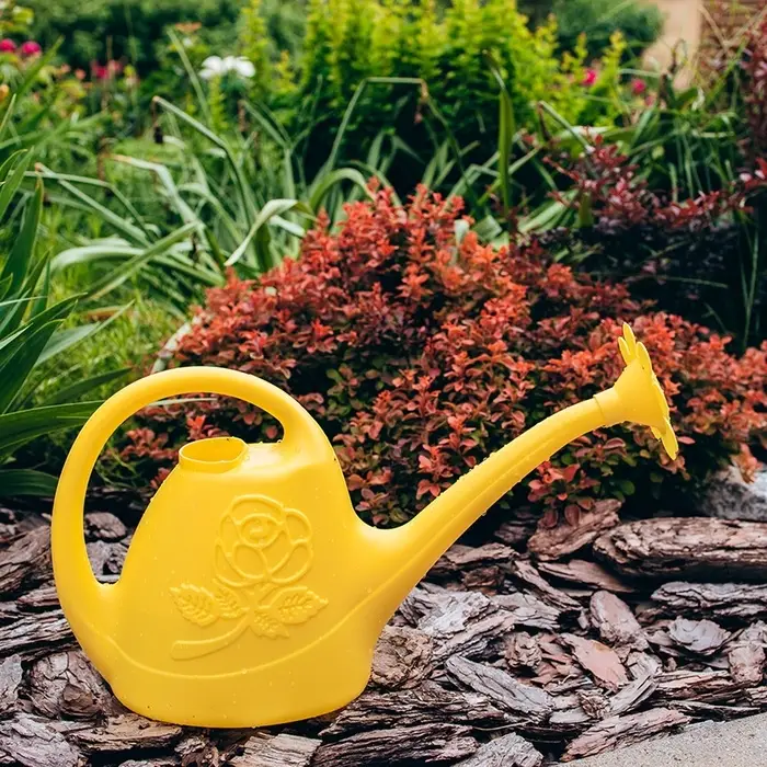 Лейка, 2.5 л, с рассеивателем, носик d=18 мм, цвет МИКС