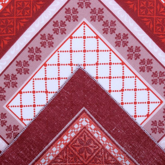 Мужские носовые платки  Мужские носовые платки "Этель" размер 30х30 см, (набор 12 шт,) цвет коричневый, рисунок МИКС