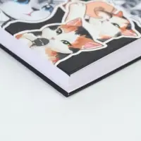 Скетчбук в твердой обложке А6, 80 л. 100 г/м "Котики"