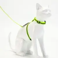 Комплект для кошек светоотражающий, ширина 1 см, шлейка 21-35 см, поводок 120 см, зелёный