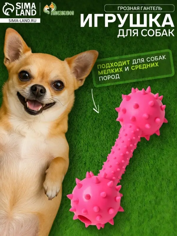 Жевательная игрушка для собак &laquo;Грозная гантель&raquo;, 15&times;5 см, розовая