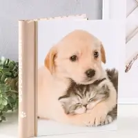 Фотоальбом 30 магнитных листов 23X28см, "Щенок",  пер-т внутр.спираль Фотоальбом 30 магнитных листов 23X28см, "Щенок",  пер-т внутр.спираль