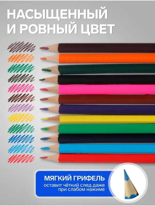 Карандаши Calligrata цветные, 12 цветов, деревянные, трёхгранные, в картонной коробке