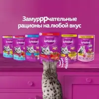 Сухой корм Wiskas для стерилизованных кошек, курица, 800 г