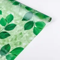 Витражная плёнка &laquo;Веточки&raquo;, 45&times;200 см