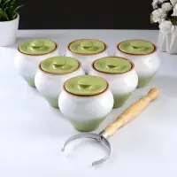 Горшочки для запекания Вятская керамика, набор 6 шт., ухват, 500 мл, МИКС