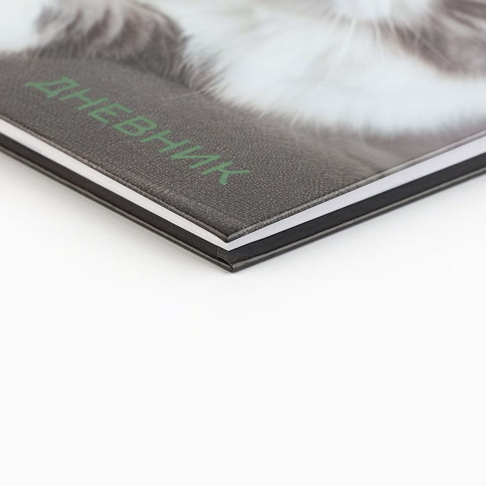 Дневник школьный 5-11 класс, в твердой обложке, 48 л. «Кошка» Дневник школьный 5-11 класс, в твердой обложке, 48 л. «Кошка»