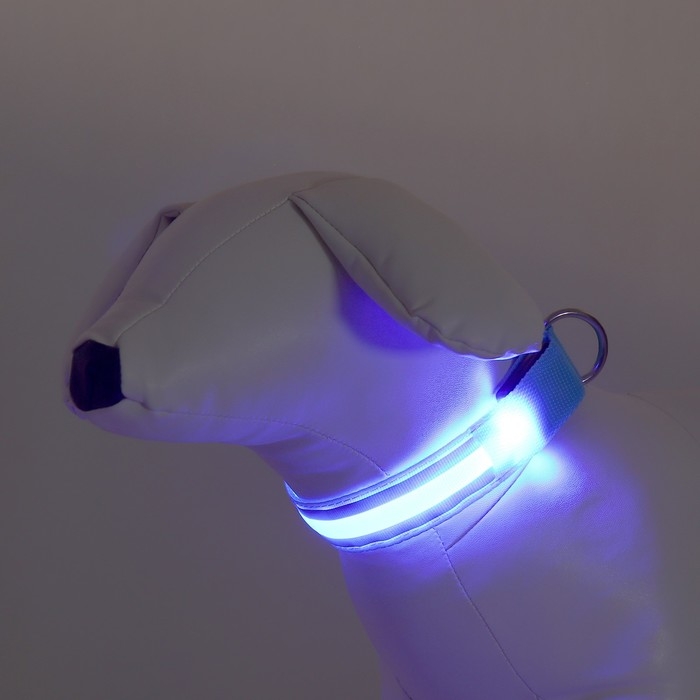 Ошейник с подсветкой Двойная полоса размер S, ОШ 35-43 х 2,5 см, 3 режима свечения голубой