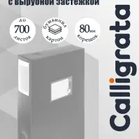 Папка-короб архивная А4, корешок 80 мм, пластик, Calligrata, вырубная застежка, серая, до 700 листов