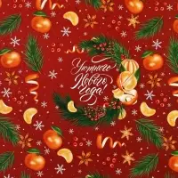 Набор упаковочной бумаги &laquo;Зимняя сказка&raquo;, 4 листа, 70&times;100 см