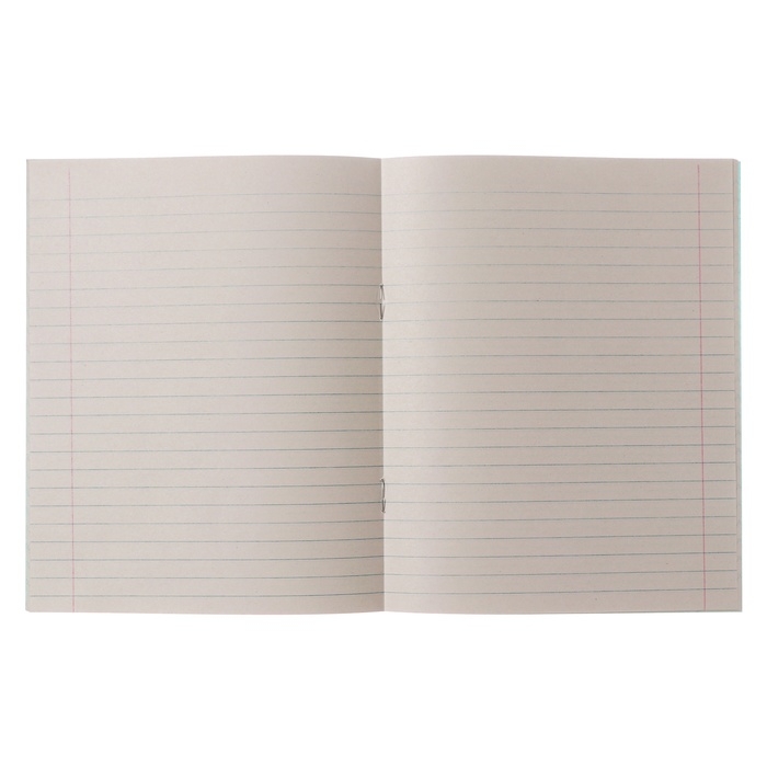 Комплект тетрадей из 20 штук, 24 листа в линию КПК Комплект тетрадей из 20 штук, 24 листа в линию КПК "Зелёная обложка", блок №2, белизна 75% (серые листы)