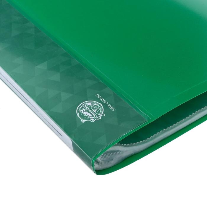 Папка с 60 вкладышами А4, 500 мкм, Calligrata, карман на корешке, зелёная Папка с 60 вкладышами А4, 500 мкм, Calligrata, карман на корешке, зелёная