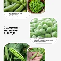 Семена Горох овощной &laquo;Детский&raquo; сахарный, раннеспелый, низкорослый, 10 г, &laquo;Евро-семена&raquo;