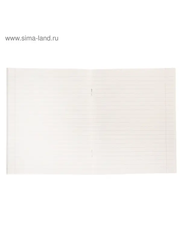 Тетрадь 48 листов в линейку Calligrata «Цвет и графика», обложка мелованная бумага, блок №2, белизна 75% (серые листы), МИКС