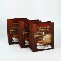 Пакеты подарочные с открыткой &laquo;Дорогому преподавателю&raquo;, 23&times;27&times;11.5 см, набор 3 шт.