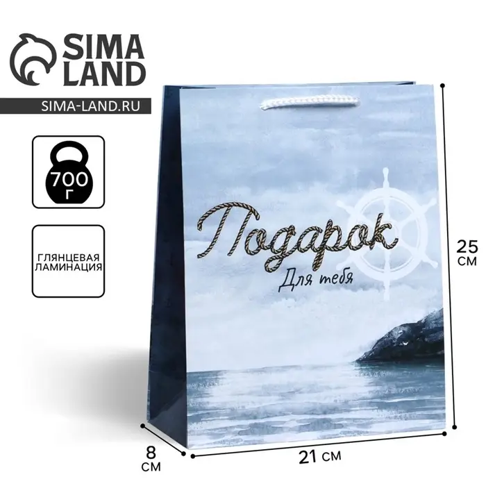 Пакет подарочный ламинированный, упаковка, Present for you, ML 21&times;25&times;8 см